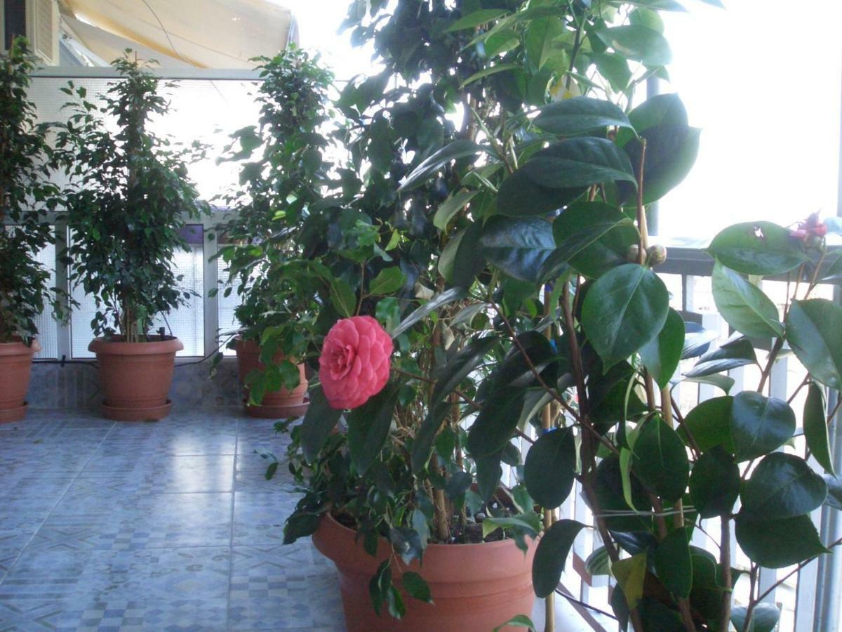 Athens Penthouse Cosy Apartment Exteriér fotografie