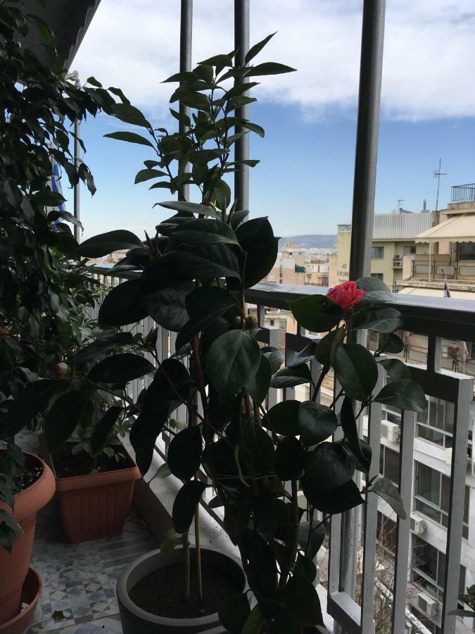 Athens Penthouse Cosy Apartment Exteriér fotografie